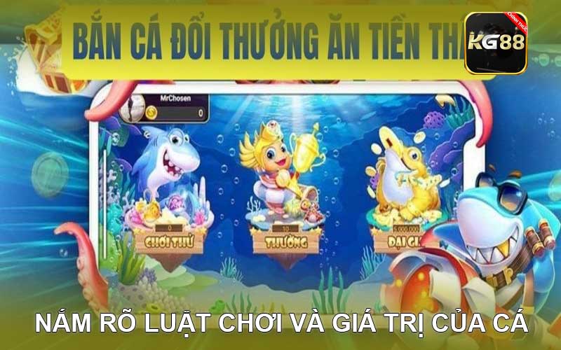 nắm rõ luật chơi và giá trị của cá